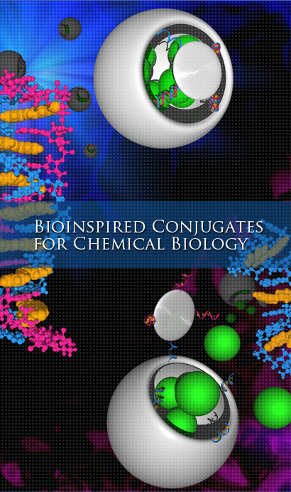 Bioinspired Conjugates for Chemical Biology