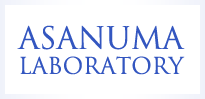 Asanuma Laboratory