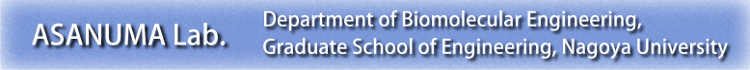 ASANUMA Lab.  Department of Biomolecular Engineering, Graduate School of Engineering, Nagoya University.
