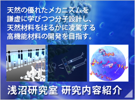 天然の優れたメカニズムを謙虚に学びつつ分子設計し、天然材料をはるかに凌駕する高機能材料の開発を目指す。　浅沼研究室 研究内容紹介