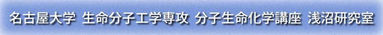 名古屋大学 生命分子工学専攻 分子生命化学講座 浅沼研究室