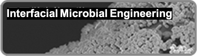 Interfacial Microbial Engineering