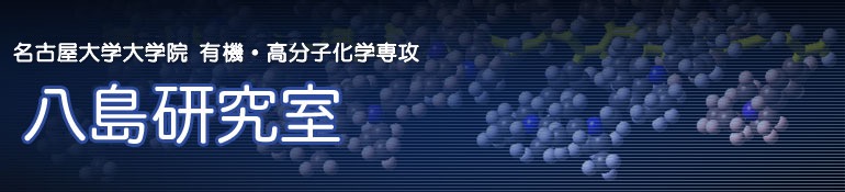 名古屋大学大学院 工学研究科 物質制御工学専攻 八島研究室