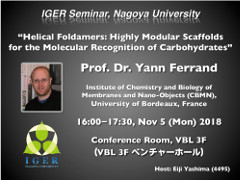 Lecture(Prof. Yann Ferrand)