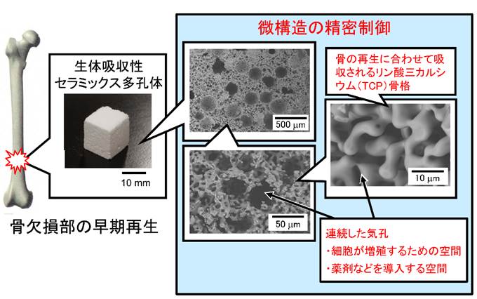 _CAO ܂܂Ă摜

Iɐꂽ