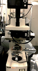 ����, �e�[�u��, ����, ���� ���܂܂�Ă���摜

�����I�ɐ������ꂽ����